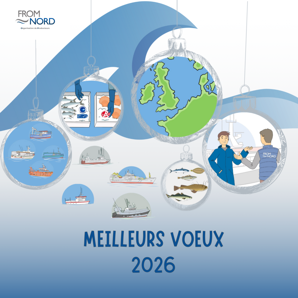 Meilleurs vœux pour 2026 !